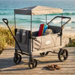 MISTIC - carrello